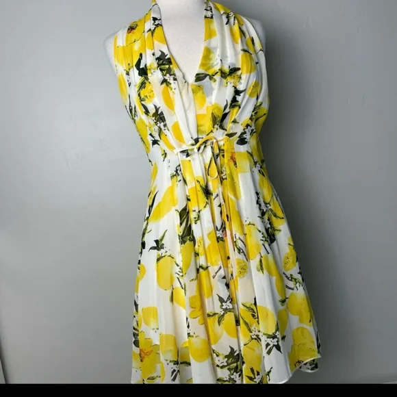 Molly Bracken 🍋 Dress - Picture 3 of 4